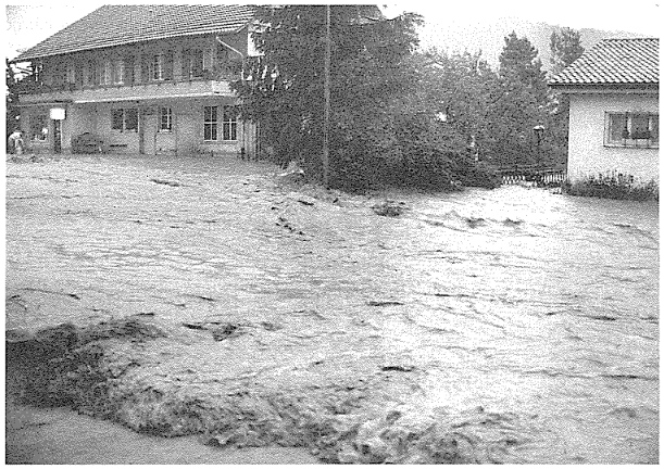 19860523 01 Flood Boll BE Boll F.Bigler.jpg