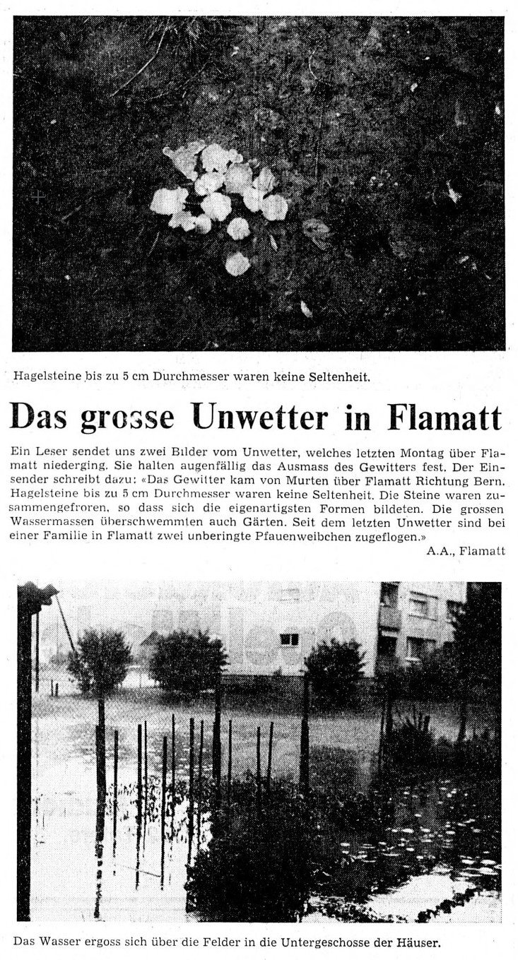 19790611 02 Flood Flamatt FR text.jpg