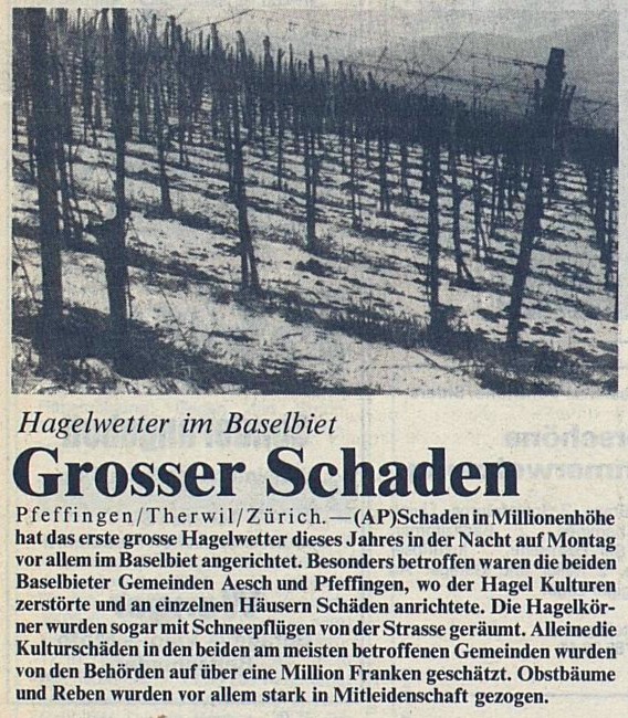 19880508 01 Hail Aesch BL Walliser Bote 10.05.1988.jpg