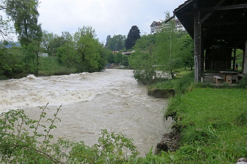 20130602 01 Hochwasser Ostschweiz und Hochrhein kariklein01.JPG