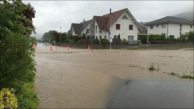 Datei:20160608 01 Flood Buenztal AG Moeriken Hanny Dorer01.jpg
