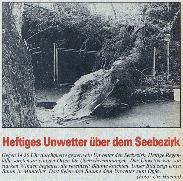 Datei:19880812 01 Downburst Muntelier FR Freiburger Nachrichten 13.08.88.jpg