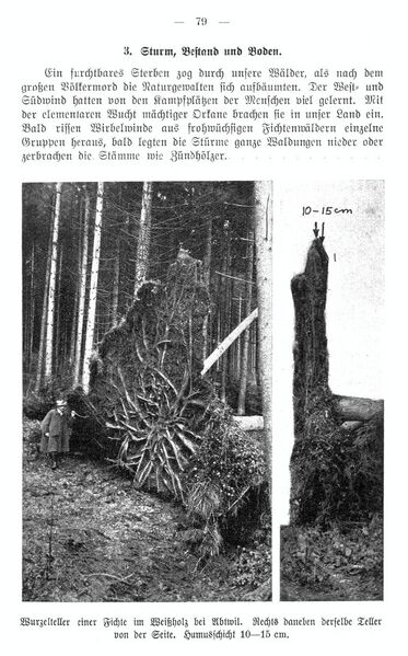 Datei:19301123 01 Storm Alpennordseite Seite07.jpg