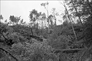19710826 01 Tornado Vallee de Joux 14 Hans Baumann.jpg