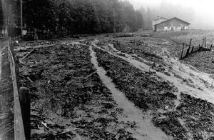 19810816 02 Flood Grindelwald BE Aelouenenbach Grindelwald Ereigniskataster Kanton Bern.jpg