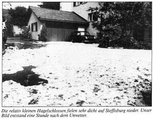 19860804 01 Hail Steffisburg BE Thuner Tagblatt 05.08.86 Bild2.jpg