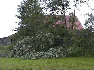20000605 03 Tornado Wetzikon schaeden1.jpg