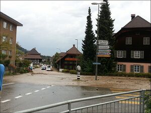20120820 03 Flood Zollbrück BE 20min 01 Leserreporter.jpg