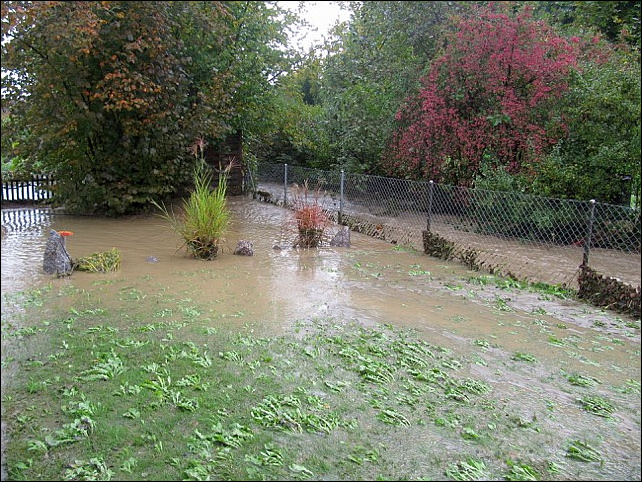 20121010 01 Flood Aargau 03WVG.jpg