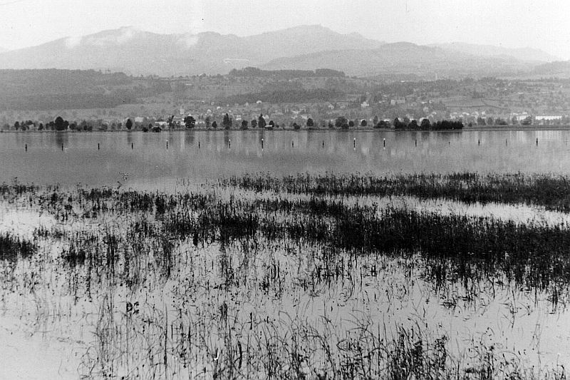 19530625 01 Flood Ostschweiz Li01.jpg