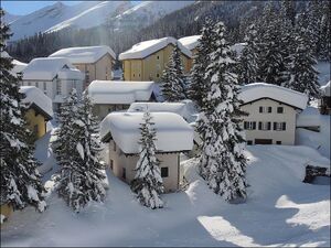 20140130 01 Snow Alpensuedhang Walker01.jpg