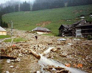 19900729 02 Sturzflut Moleson-Village FR 01 Etat de Fribourg.jpg