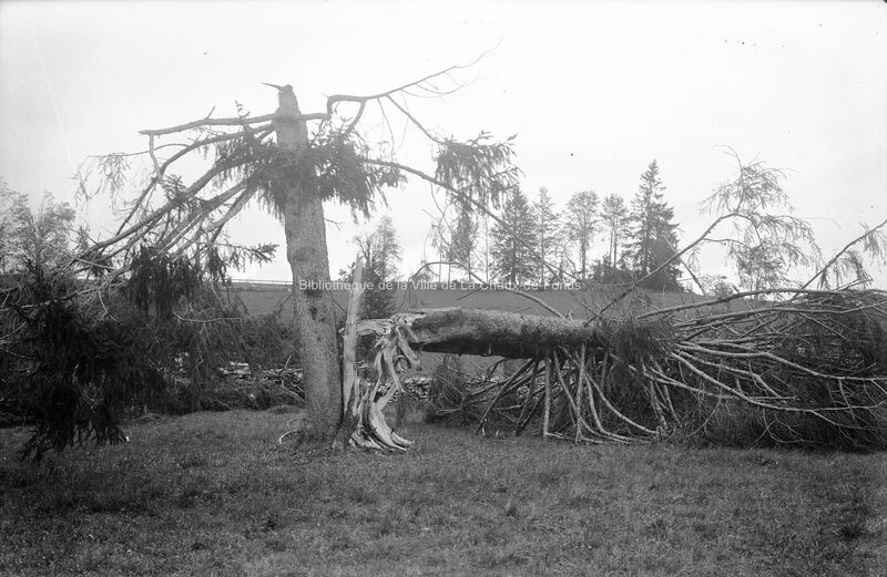 Datei:19260612 01 Tornado La Chaux-de-Fonds NE PVN-11.jpg