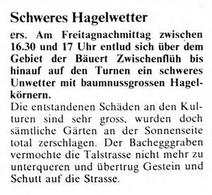 19800815 01 Hail Zwischenflueh BE Thuner Tagblatt 19.08.1980.jpg