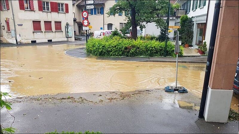 Datei:20180604 04 Flood Allschwil BL Zoé Boll01.jpg