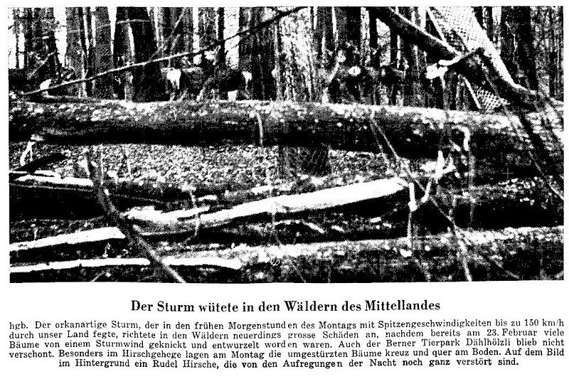 Datei:19670313 01 Storm Alpennordseite Der Bund 14.03.67 b.jpg