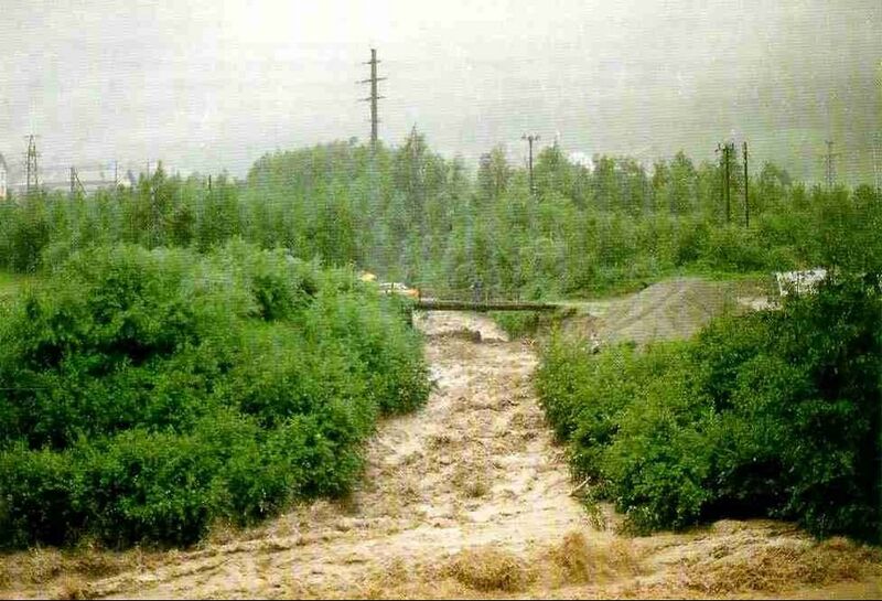 19870718 01 Flood Südostschweiz Toni Venzin1.jpg